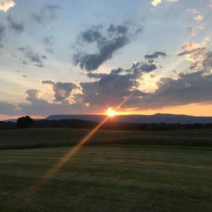 Meet your Posher, Harlan